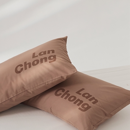 91家纺网 家纺一手货源 找家纺 8小时 2024新款40S懒虫四件套系列---枕头 懒虫-咖