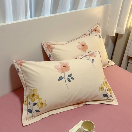 尚帛 2024新款新疆棉磨毛印花单品枕套 春光-粉