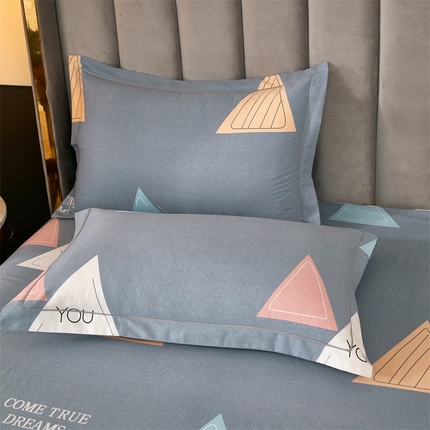 尚帛 2024新款新疆棉磨毛印花单品枕套 追光者