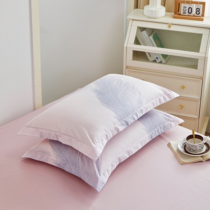 91家纺网 家纺一手货源 找家纺 （总）元元被芯 2024新款小清新全棉套件单品-单枕套