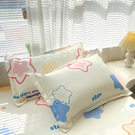 91家纺网 家纺一手货源 找家纺 （总）2024新款A类印花磨毛防水枕套保护套