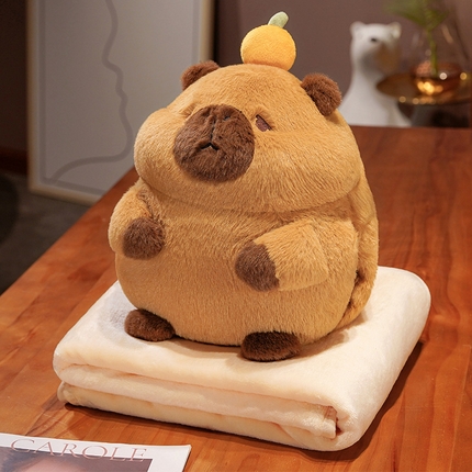 91家纺网 家纺一手货源 找家纺 （总）仟亿莱 2024新款水豚三合一抱枕毯