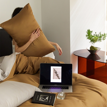 沐晴家纺 2025新款60兰精天丝简约轻奢纯色四件套 敦煌色-曙光银