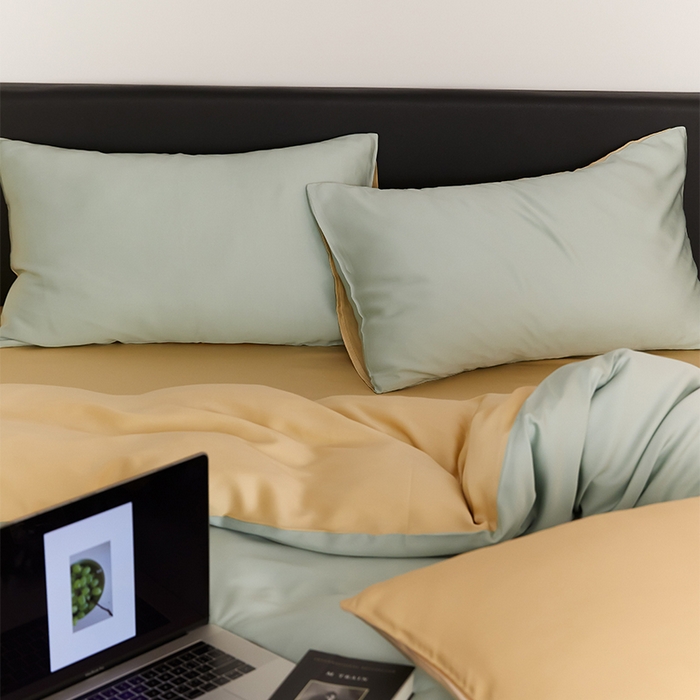 91家纺网 家纺一手货源 找家纺 沐晴家纺 2025新款60兰精天丝简约轻奢纯色四件套 浅艾绿-香槟金