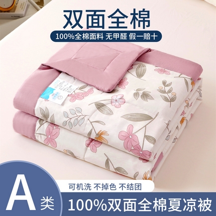 瑜珠 2025新款双面全棉印花夏被夏凉被空调被子 巴黎春天
