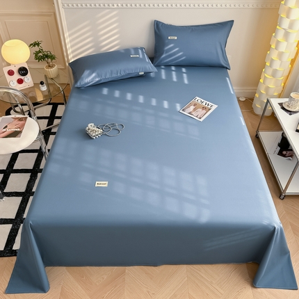 91家纺网 家纺一手货源 找家纺 （总）眠博士 2024新款全棉40支简约加厚纯色单品系列-单床单