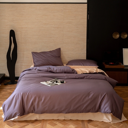 寐眠 2024新款100支长绒棉纯色双拼四件套 神秘紫-香草米