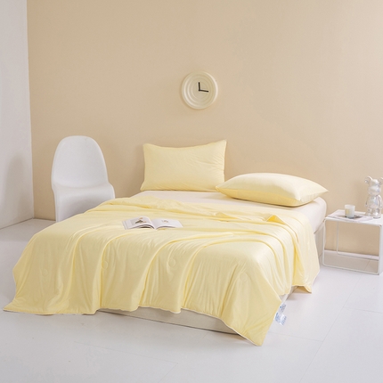 91家纺网 家纺一手货源 找家纺 （总）圣尔雅 2025新款 直播爆款纯色提花凉感丝夏被空调被夏凉被