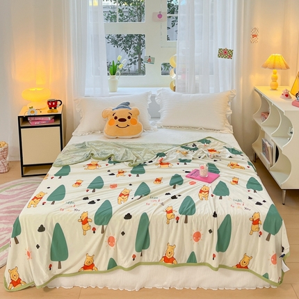 91家纺网 家纺一手货源 找家纺 （总）大彩家居 2024新款A类迪士尼小凉皮豆豆盖毯盖毯