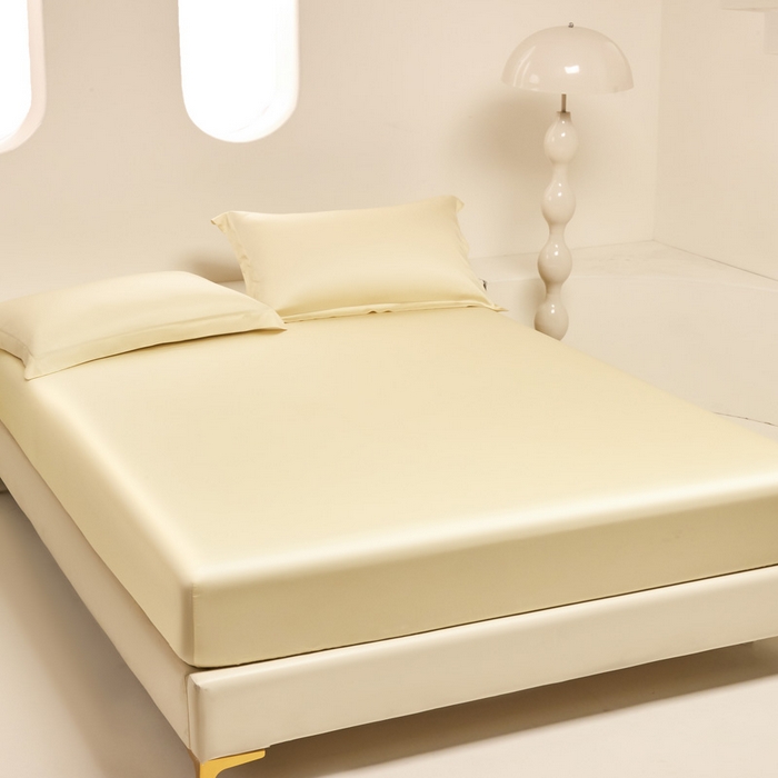 91家纺网 家纺一手货源 找家纺 涵宸 2024新款兰精天丝棉纯色单品-床笠 床笠-雪梨