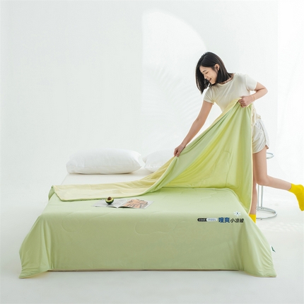 91家纺网 家纺一手货源 找家纺 恬思语 2024新款小水果凉感丝夏被空调被夏凉被 清爽哈密瓜-绿拼黄