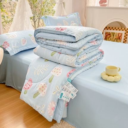 91家纺网 家纺一手货源 找家纺 家贝爱 2024款糯糯棉夏被春秋被被芯夏被四件套 雨后时光