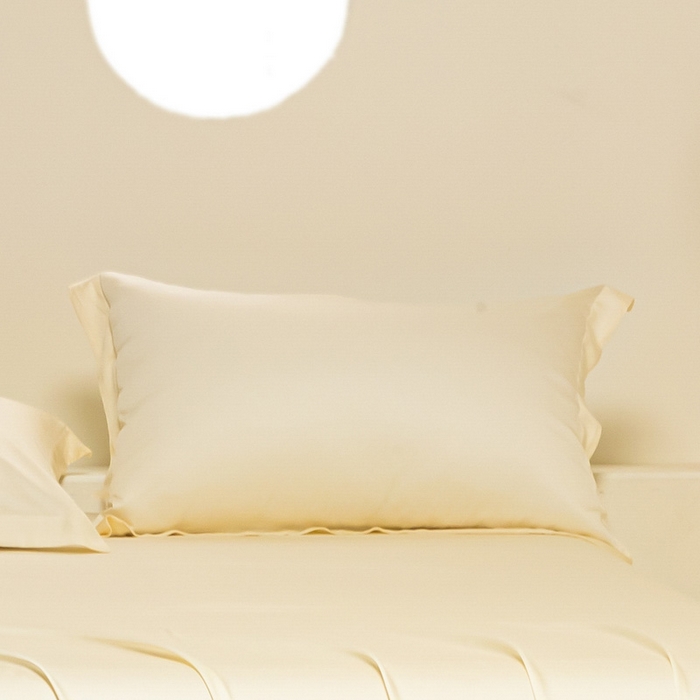 91家纺网 家纺一手货源 找家纺 涵宸 2024新款兰精天丝棉纯色单品-枕套 枕套-雪梨