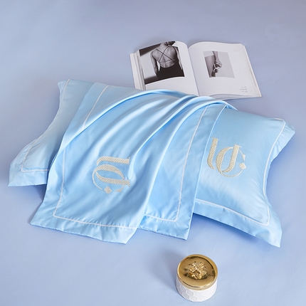 91家纺网 家纺一手货源 找家纺 （总）丰淘 2024新款水洗真丝uc枕套