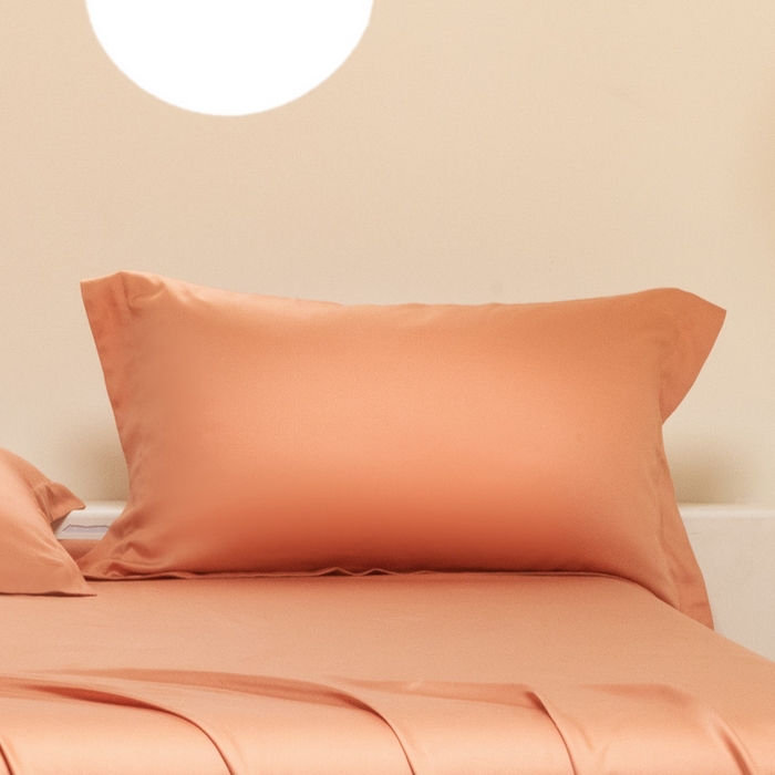 91家纺网 家纺一手货源 找家纺 涵宸 2024新款兰精天丝棉纯色单品-枕套 枕套-焦糖