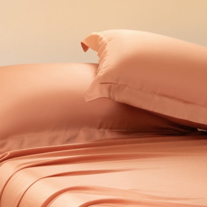 91家纺网 家纺一手货源 找家纺 涵宸 2024新款兰精天丝棉纯色单品-枕套 枕套-焦糖