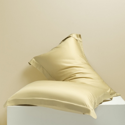 91家纺网 家纺一手货源 找家纺 （总）涵宸 2024新款兰精天丝棉纯色单品-枕套