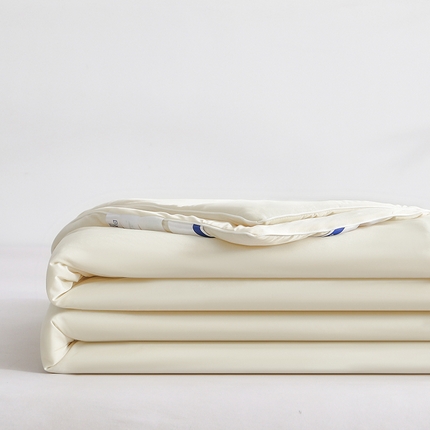 91家纺网 家纺一手货源 找家纺 （总）益多眠 2024年爆款夏被凉感丝夏被冰淇淋夏被冻冻被空调被冰丝夏被单双人被芯