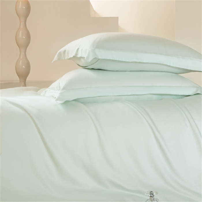 91家纺网 家纺一手货源 找家纺 涵宸 2024新款兰精天丝棉纯色四件套 四件套-空绿
