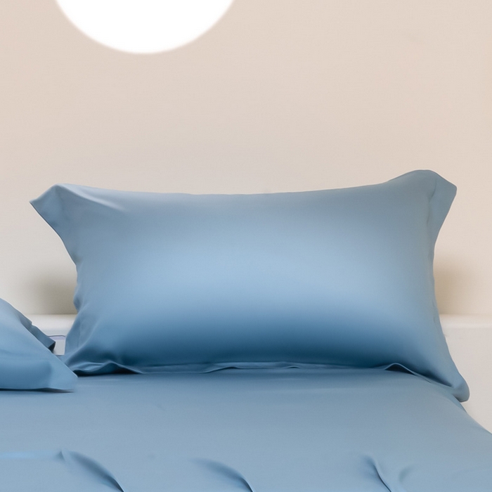 91家纺网 家纺一手货源 找家纺 涵宸 2024新款兰精天丝棉纯色单品-枕套 枕套-星耀兰