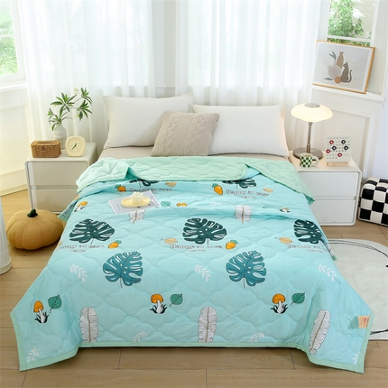 爱派 2024直播爆款印花水洗棉夏被夏凉被空调被被子被芯 快乐生活