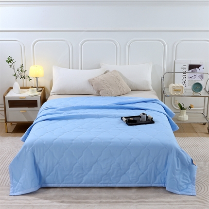 爱派 2024新款纯色水洗棉夏被夏凉被空调被被子被芯 骑士蓝