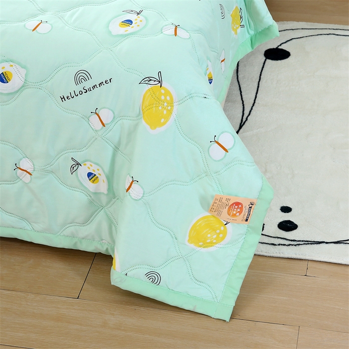 91家纺网 家纺一手货源 找家纺 爱派 2024直播爆款印花水洗棉夏被夏凉被空调被被子被芯 夏日柠檬