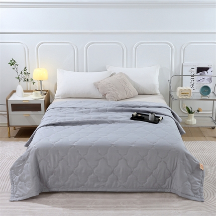 爱派 2024新款纯色水洗棉夏被夏凉被空调被被子被芯 绅士灰