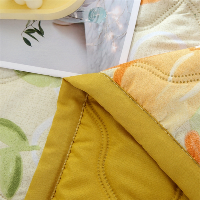 91家纺网 家纺一手货源 找家纺 爱派 2024直播爆款印花水洗棉夏被夏凉被空调被被子被芯 草莓花