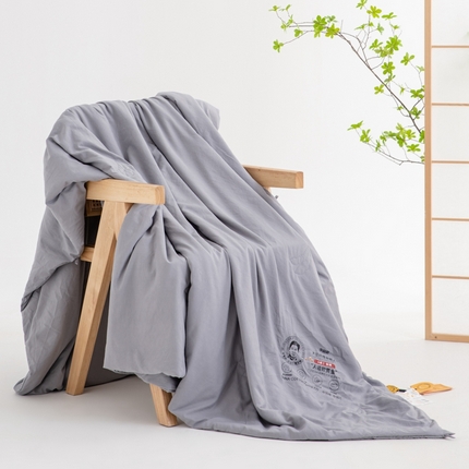 恒科家纺 2025新款李官奇大豆被夏被空调被四季被 浅灰