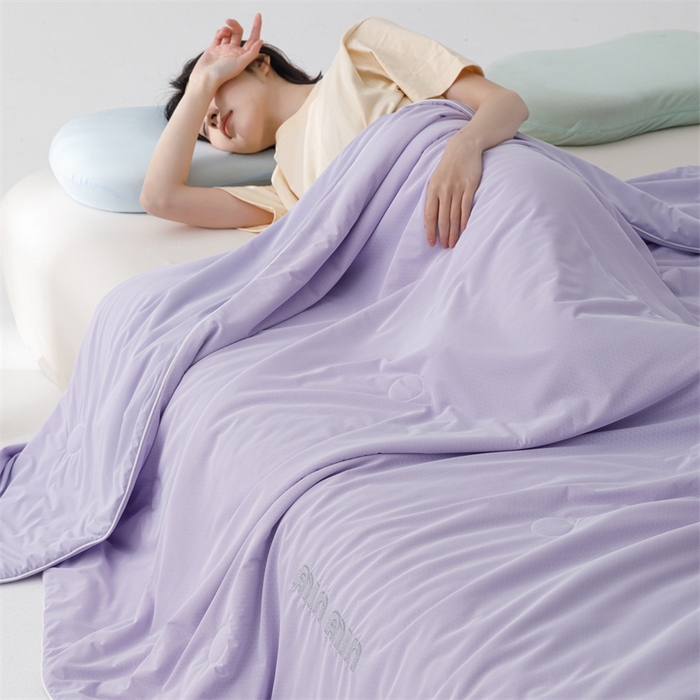 91家纺网 家纺一手货源 找家纺 丝幔家纺 2025新款A类提花绣花凉感夏被 被子被芯 魅紫