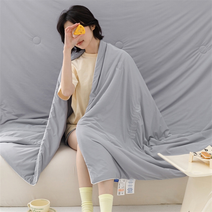 91家纺网 家纺一手货源 找家纺 丝幔家纺 2025新款A类提花绣花凉感夏被 被子被芯 太空灰