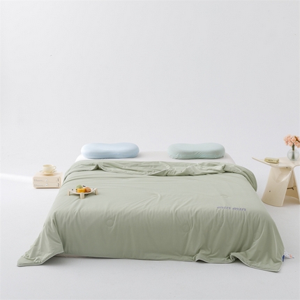 丝幔家纺 2025新款A类提花绣花凉感夏被 被子被芯 抹茶绿