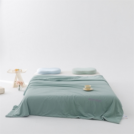 91家纺网 家纺一手货源 找家纺 （总）丝幔家纺 2025新款A类提花绣花凉感夏被 被子被芯