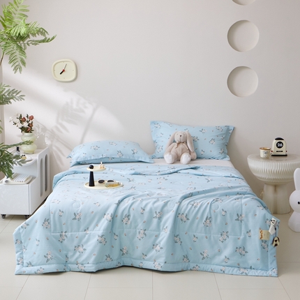 91家纺网 家纺一手货源 找家纺 （总）33家纺 2024新款芙蓉棉印花夏被夏凉被空调被子