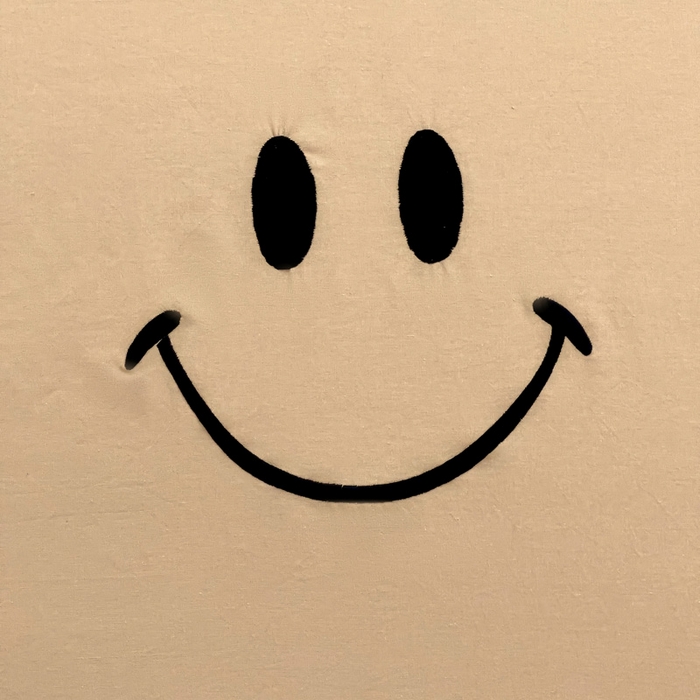 91家纺网 家纺一手货源 找家纺 梦家居 2024新款全棉水洗棉刺绣单床笠 10 浅咖