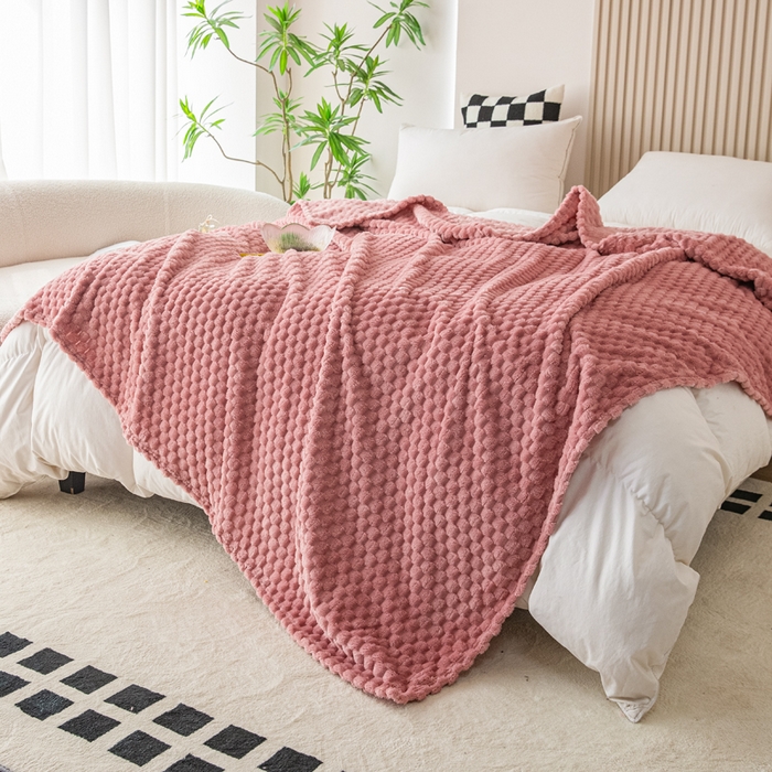 91家纺网 家纺一手货源 找家纺 卡琪曼 2025新款高克重金龟绒牛奶绒毛毯毯子 西瓜红