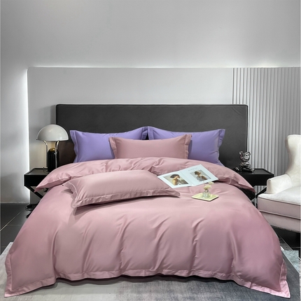 莱阁亿 2025新款高支高密新疆长绒棉纯色埋绳款四件套 豆沙