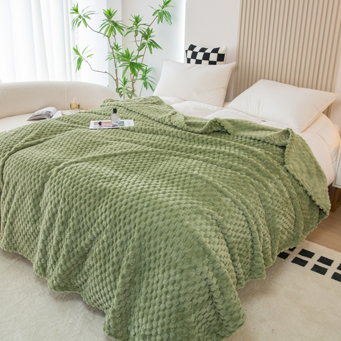 91家纺网 家纺一手货源 找家纺 卡琪曼 2025新款高克重金龟绒牛奶绒毛毯毯子 绿色