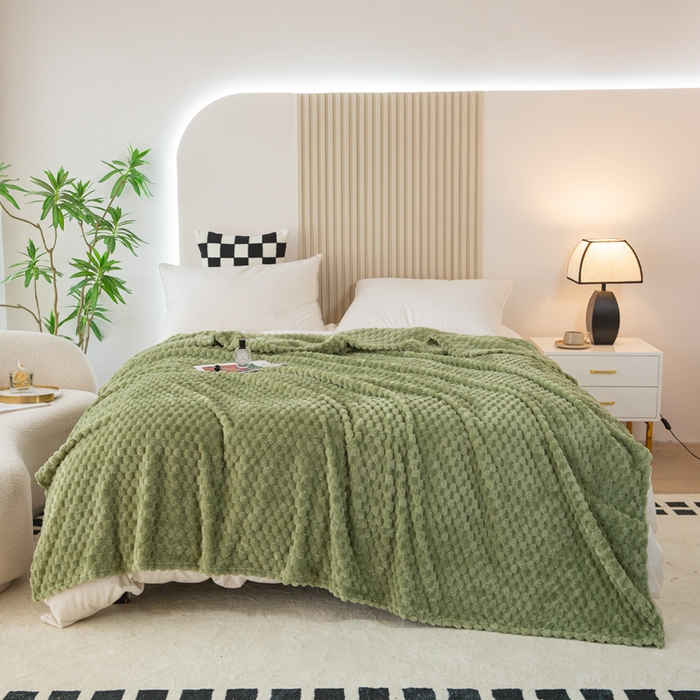 91家纺网 家纺一手货源 找家纺 卡琪曼 2025新款高克重金龟绒牛奶绒毛毯毯子 绿色