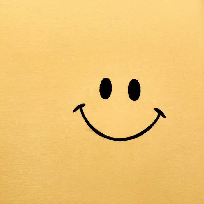 91家纺网 家纺一手货源 找家纺 梦家居 2024新款全棉水洗棉刺绣单床笠 7 秋黄