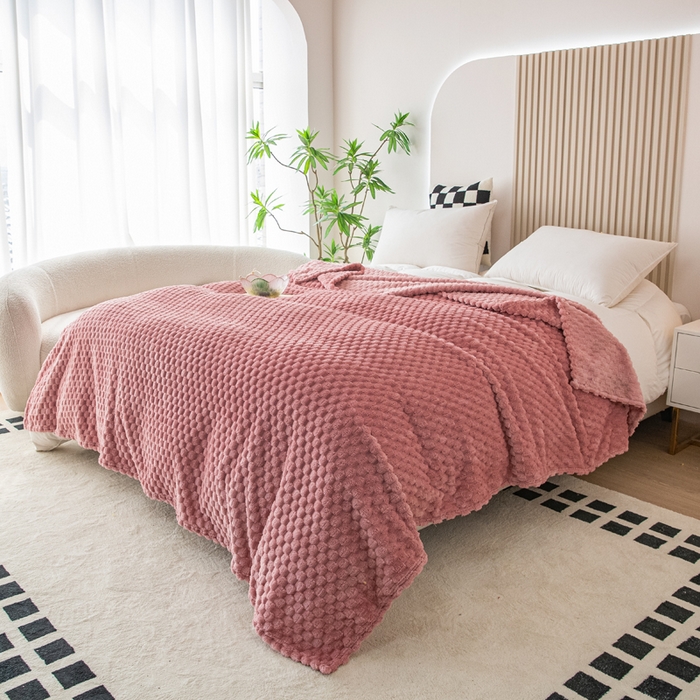 91家纺网 家纺一手货源 找家纺 卡琪曼 2025新款高克重金龟绒牛奶绒毛毯毯子 西瓜红