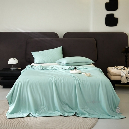 91家纺网 家纺一手货源 找家纺 （总）头等舱 2025新款八星凉感A类提花大豆抗菌夏被