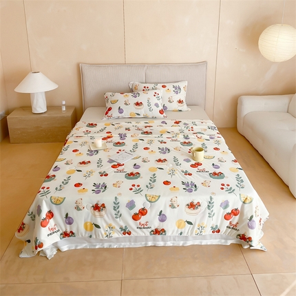 91家纺网 家纺一手货源 找家纺 头等舱 2025新款针织棉凉感氨纶A类印华大豆抗菌夏被 水果派对