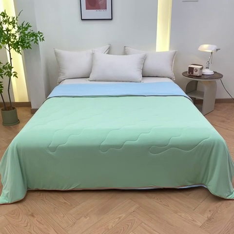 91家纺网 家纺一手货源 找家纺 龙图 2024新款氨纶凉感丝夏被瓜瓜被冰淇淋西瓜被夏凉被空调被-浅绿