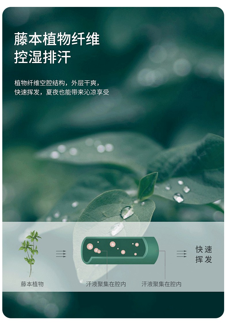 91家纺网 家纺一手货源 找家纺 伊先生家纺 2024新款2cm艾草凉席冰藤地垫客厅打地铺可定制 绿饼干-春意盎然