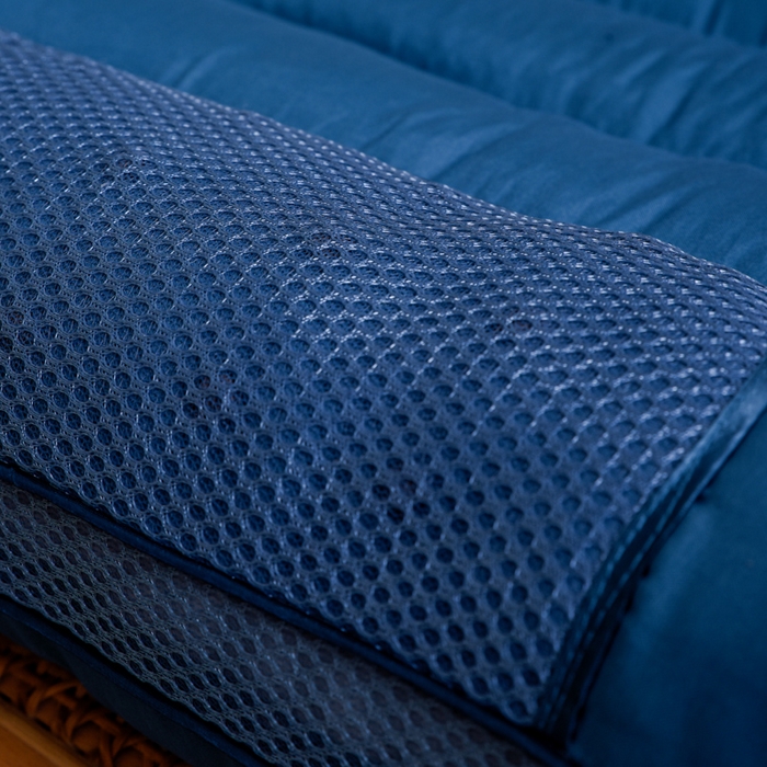 91家纺网 家纺一手货源 找家纺 芯元素 2024新款双边磁石荞麦保健枕 双边磁石荞麦-蓝