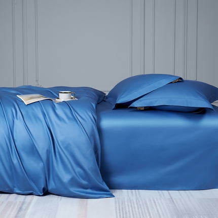 莱阁亿 2025新款高支高密新疆长绒棉纯色双拼四件套 巴黎蓝