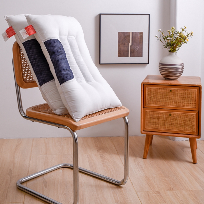 91家纺网 家纺一手货源 找家纺 （总）芯元素 2024新款磁石荞麦保健枕