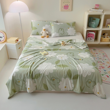 木堇家居 2024新款A类凉感丝凉感冰淇淋大豆夏被 凉感丝--初夏